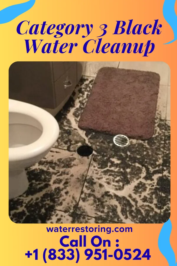 Category 3 Black Water Cleanup in Hassell, NC