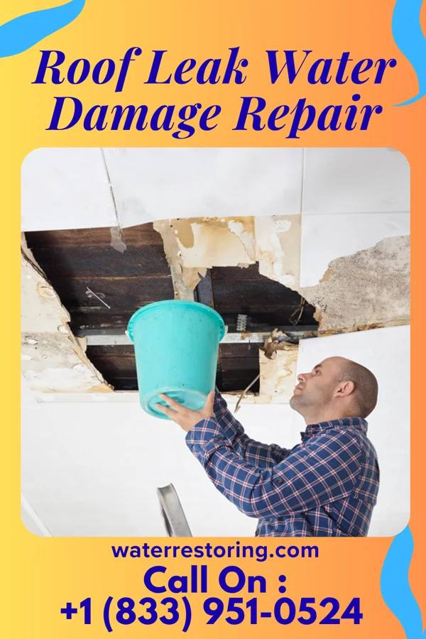 Roof Leak Water Damage Repair in Hassell, NC